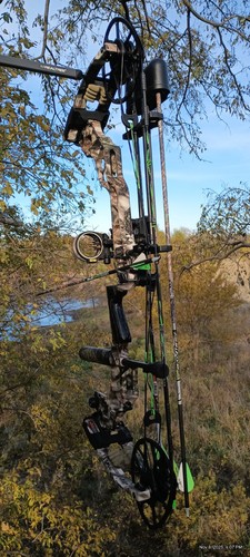 Matthews triax compound - matthews, bow