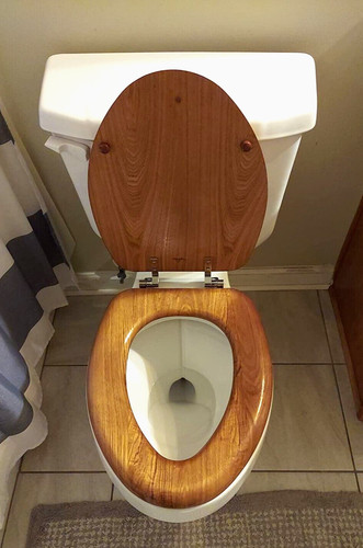 Toilet seat with chrome - toilet, hinges
