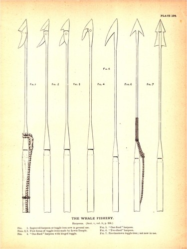 1887 whaling harpoons lewis - whaling,