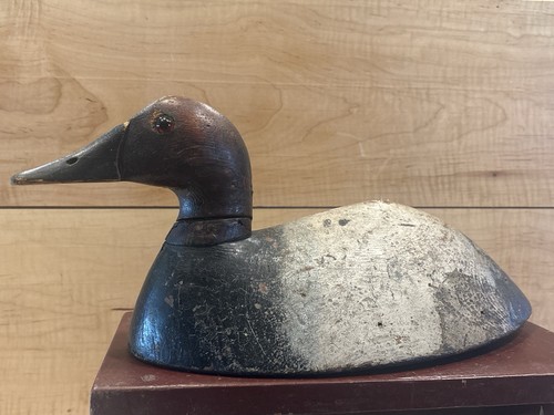 Antique canvasback drake duck - canvasback,