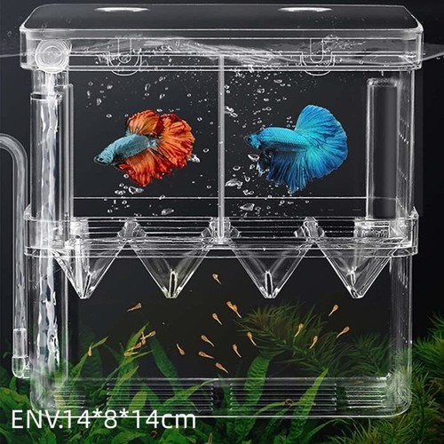 Aquarium landing fish farm - fish,