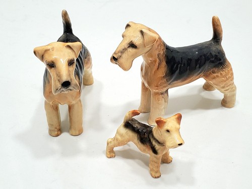 Vintage lakeland terriers 1 - terriers,