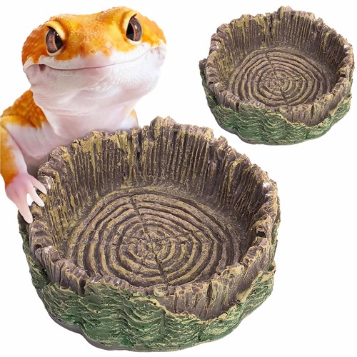 Reptile water dish - dish, crab