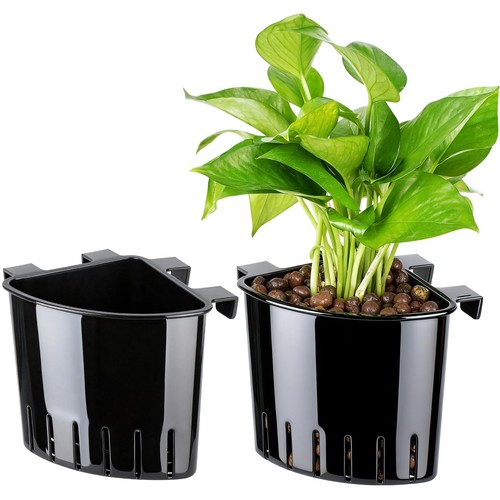 2026 latest model large - latest,