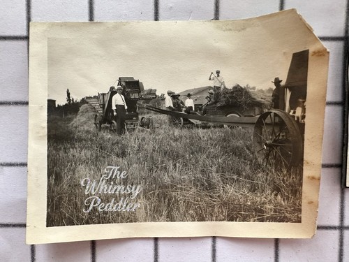 Vintage farm harvest photo - farm,