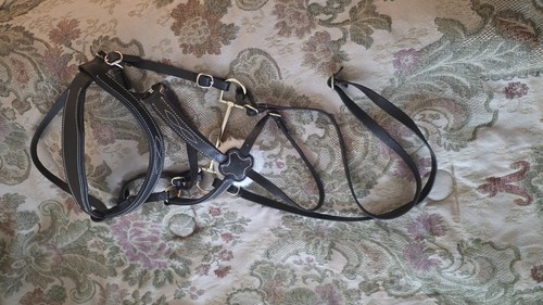 Lemieux hobby horse - lemieux,