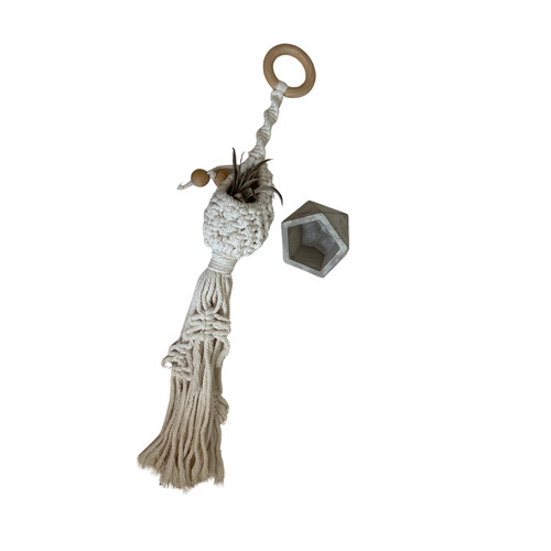 Boho air plant holder set - boho,