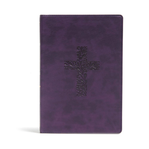 Kjv rainbow study bible purple - rainbow,