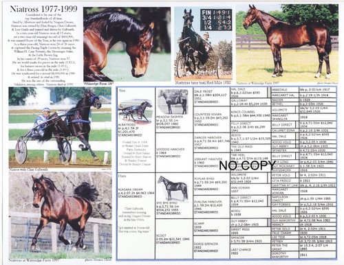 Famous standardbred pacer - famous,