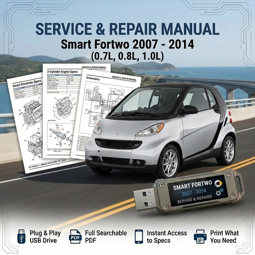 Smart fortwo 2009 2010 2011 - 2009,