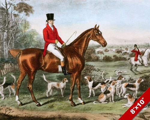English fox hunt horse - fox,