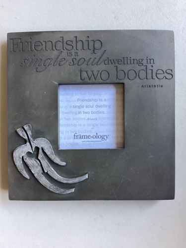 Beautiful silver friendship - silver,