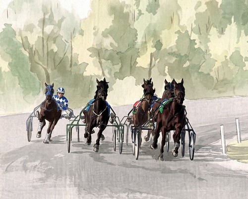 Harness horse racing summer - horse, "summer