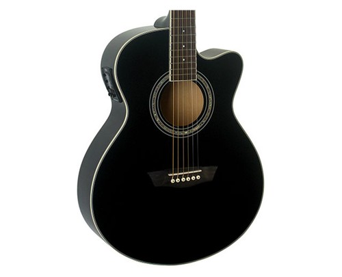 Washburn ea12b festival - washburn, ea12b-a