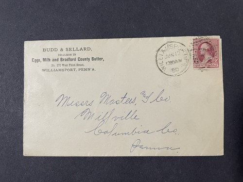 1890 williamsport - 1890, pa