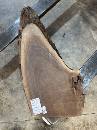 Black walnut slab 1961 live - walnut, #1961,