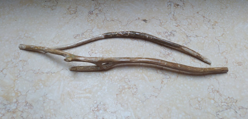 Coral natural golden branch - coral,
