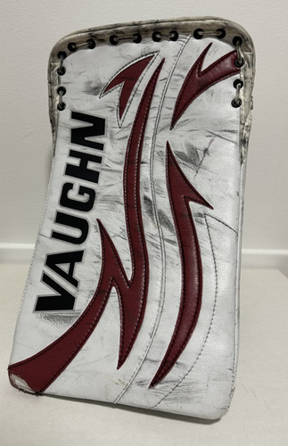 Hockey nhl vaughn goalie - nhl,