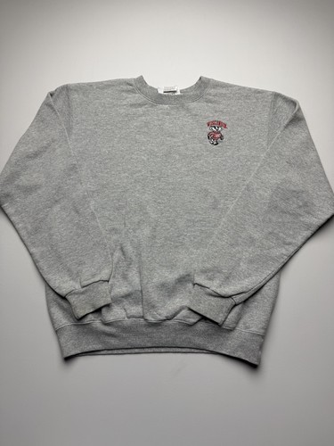 Wisconsin badgers sweatshirt - badgers,