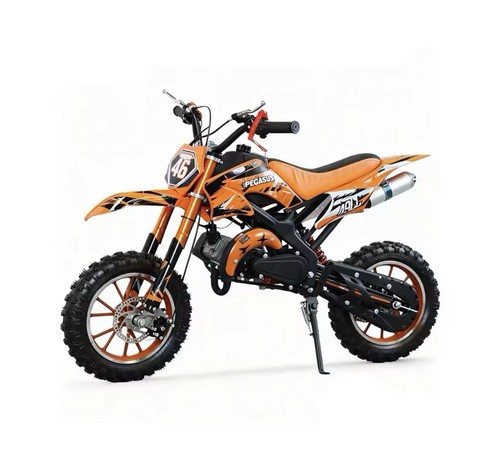 Pegasus 49cc kids dirt - pegasus,