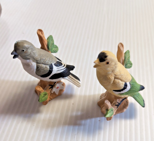Lefton birds branch with - birds,