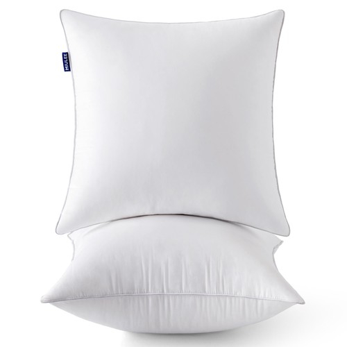 Pillow inserts set - 22, (set