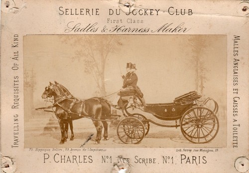 Rare sellerie jockey - sellerie, club