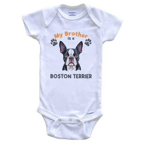 Brother boston terrier - is,