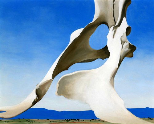 Georgia keeffe pelvis - o'keeffe,