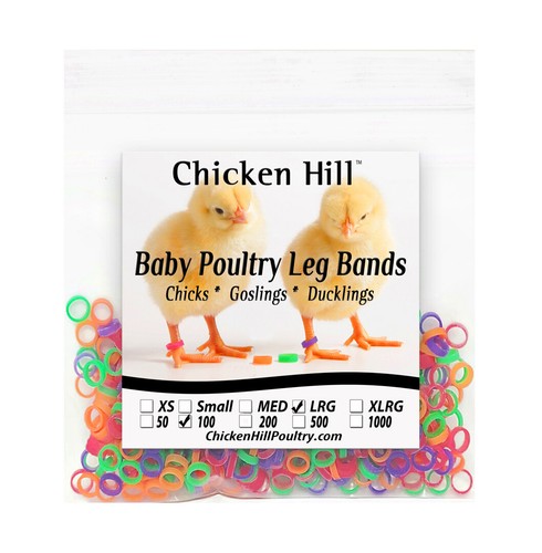 Chick leg bands colors - leg, ~4