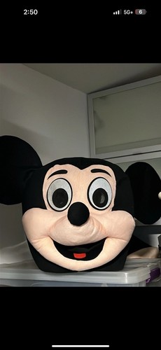 Mickey mouse mascot - mouse,