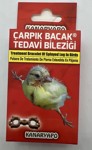 Canary finch bird splayed - , leg