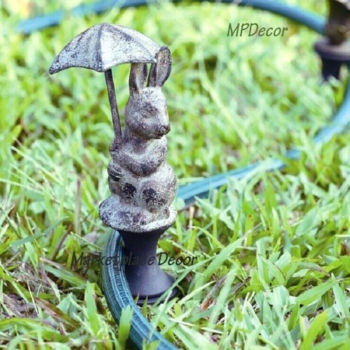 Bunny rabbit holding - rabbit,