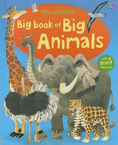The usborne big - big, book