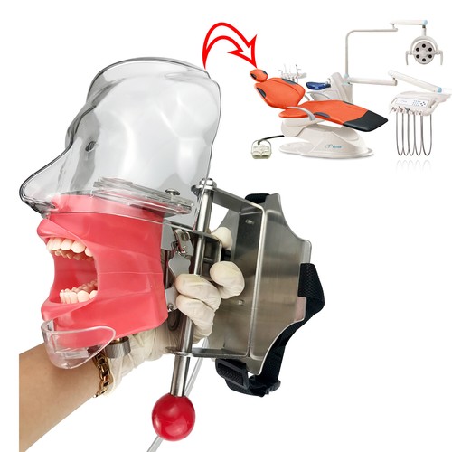 Dental manual manikin - manual,