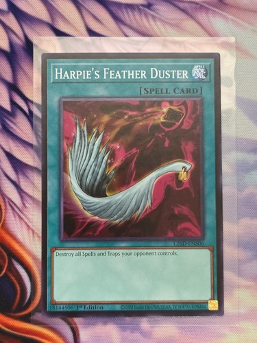 Harpie feather duster - harpie's,