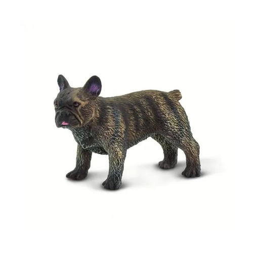 Mini french bulldog - mini,