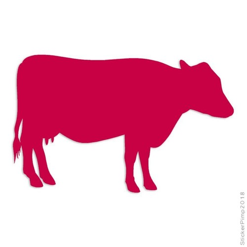 Cow bull angus vinyl decal - vinyl,