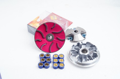 Performance variator kit for