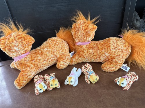 Kitty surprise 2015 - surprise,