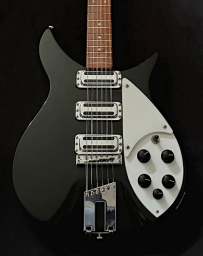 Rickenbacker 350 12st