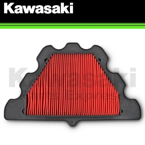 New 2018 2024 genuine kawasaki - 2018-2024,