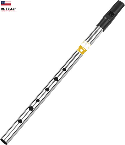 Irish whistle flute key - flute,