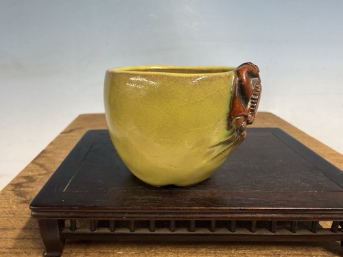 Rare mame shohin size hand - rare,