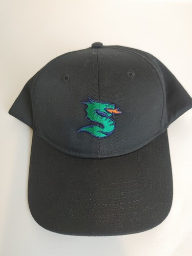 Seattle dragons snapback - dragons,