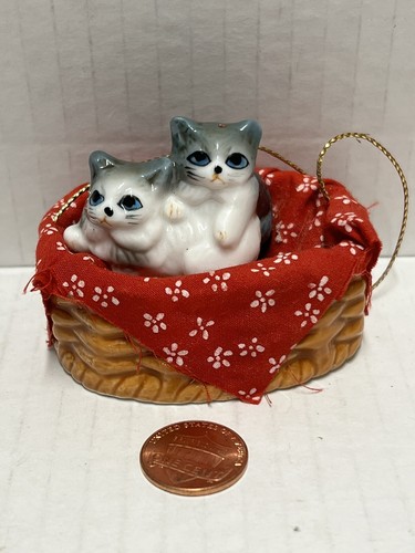 Kitty cat cats basket - cat,