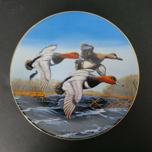 Federal duck stamp - federal, collection