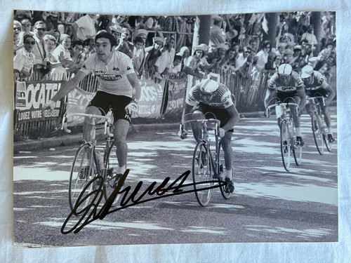 Signed eddie merckx autograph - ,