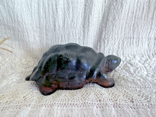 Jan barboglio lento turtle - jan,