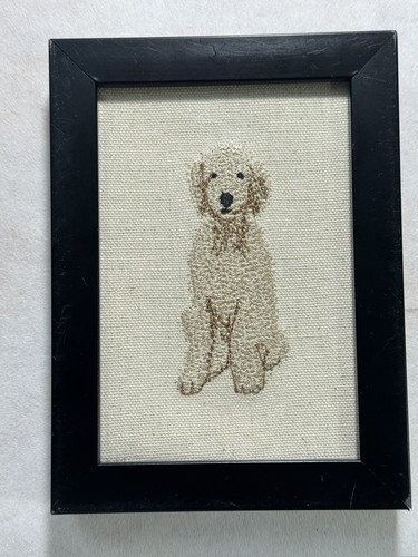 Poodle goldendoodle dog breed - poodle,